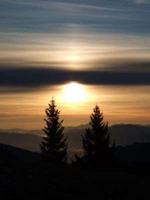 Morgensonne auf der Neuenalp
Schlüsselwörter: Morgensonne, Neuenalp, Tannen