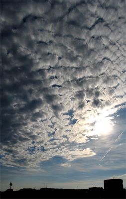 20060731_201736_Federwolke.jpg