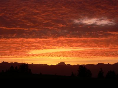 Siegerbild November 2006
Aufgenommen am 26.11.2006 in Gais (AR)
Kurz vor Sonnenaufgang um 08.29 Uhr
Photograph: Christian Matthys

Herzliche Gratulation!
