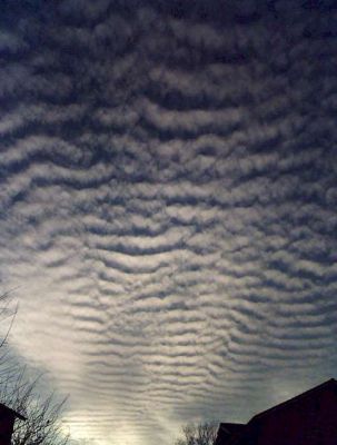 Altocumulus stratiformis undulatus
04.04.2006
