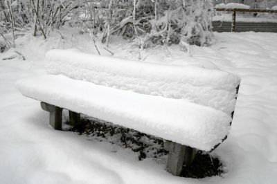 Schon besetzt...
Zürichberg, 06.04.2006
