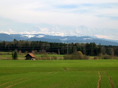 Frühling und Winter nah beisammen
08.04.2006
