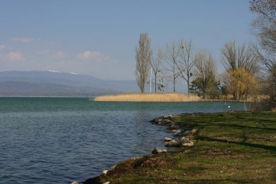 Frühlingserwachen am Neuenburgersee
08.04.2006

