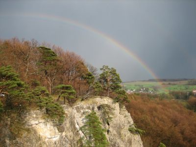 Himmlische Zeichen
Basler Jura, 22.04.2006
