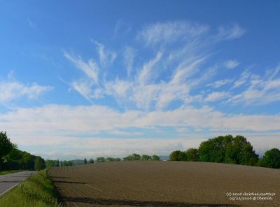 Cirrus Radiatus
Oberrüti, 22.05.2006
