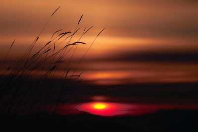 Sonnenaufgang
15.05.2006
