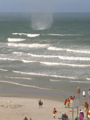 Wasserhose Juli 2011 Daytona Beach
Wasserhose Juli 2011 Daytona Beach
Schlüsselwörter: Wasserhose Juli 2011 Daytona Beach