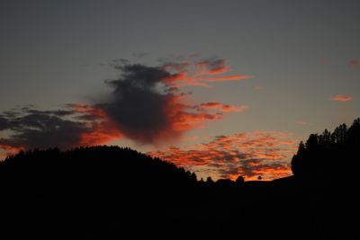 Schlüsselwörter: Bild 1