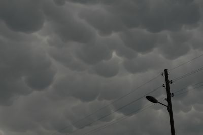 Schlüsselwörter: Bild 8