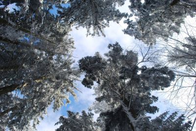 Schlüsselwörter: Bild 4