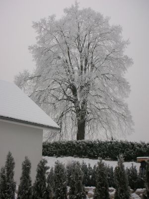 20100216_200512_Beni_Grenchen.JPG