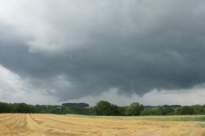 20100704_205209_saeschu_Boesingen.jpg