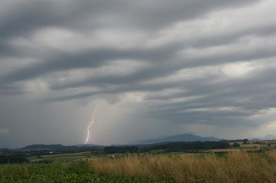 20100802_125650_saeschu_Boesingen.jpg