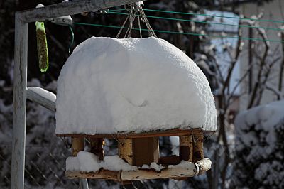 20101218_153159_Giovanni_Kriens_bei_Luzern.JPG