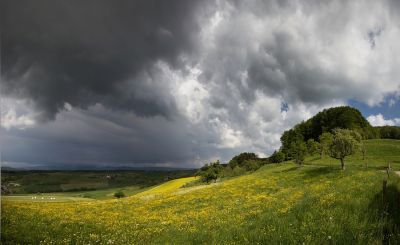 20110501_023216_mike_Jura_Basel.jpg