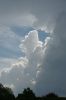 20110501_091841_saeschu_Boesingen.jpg