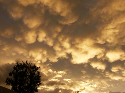 20110110_204451_Roland_Morgenthaler.JPG