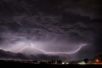 20110605_162235_knight.JPG