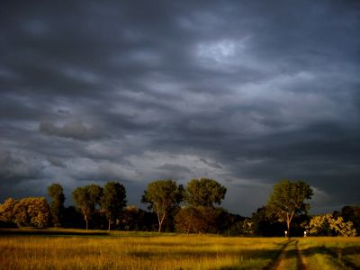 Abendstimmung
17.05.2009, Frankreich
Schlüsselwörter: Wolken Abendstimmung Frankreich