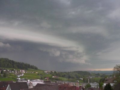 Kragen
Vor dem Hagel schiebt sich dieser Kragen her. 
