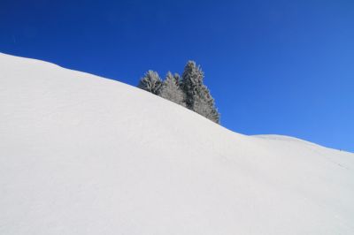 Schneezauber
Wald bei Oberhünigen
